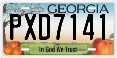 GA license plate PXD7141