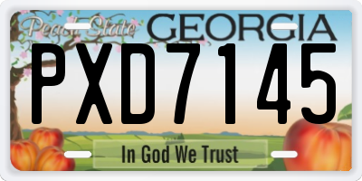 GA license plate PXD7145