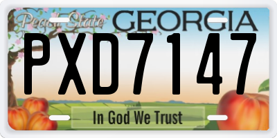 GA license plate PXD7147