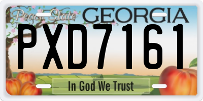 GA license plate PXD7161
