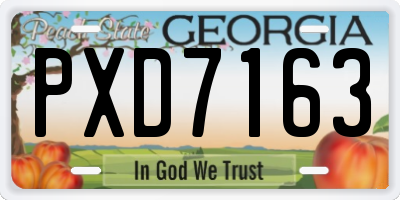 GA license plate PXD7163