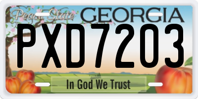 GA license plate PXD7203