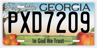GA license plate PXD7209