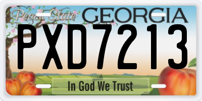 GA license plate PXD7213