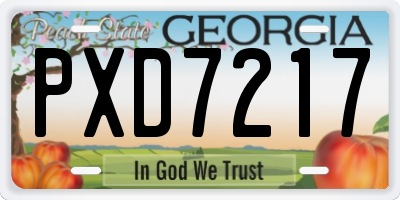 GA license plate PXD7217