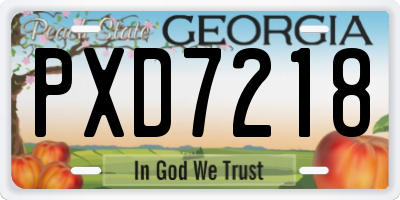GA license plate PXD7218