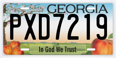 GA license plate PXD7219