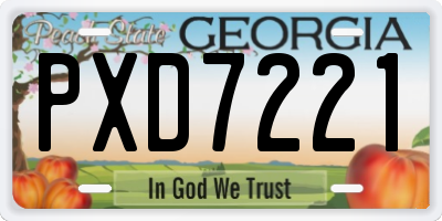 GA license plate PXD7221