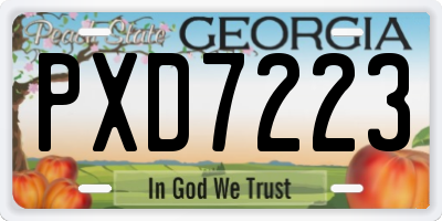 GA license plate PXD7223