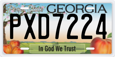 GA license plate PXD7224