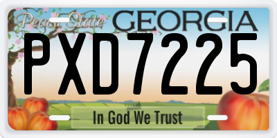 GA license plate PXD7225