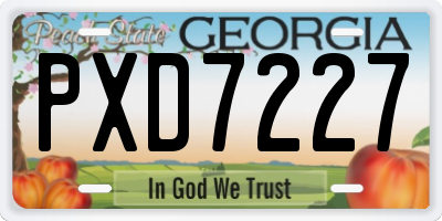 GA license plate PXD7227