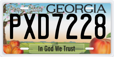 GA license plate PXD7228