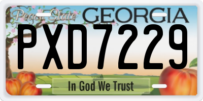 GA license plate PXD7229