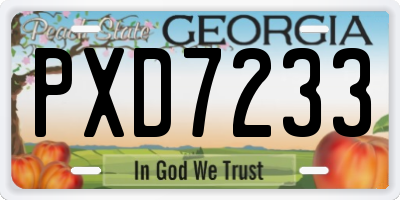 GA license plate PXD7233
