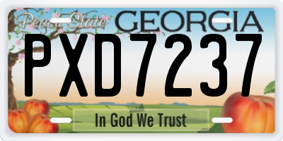 GA license plate PXD7237