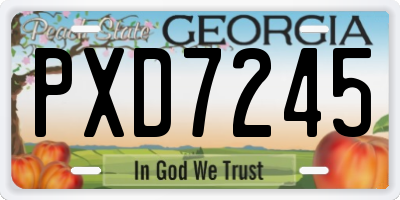 GA license plate PXD7245
