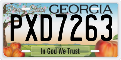 GA license plate PXD7263