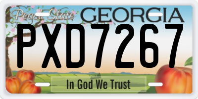 GA license plate PXD7267