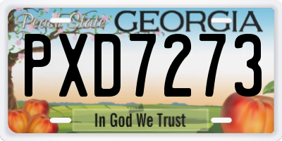 GA license plate PXD7273