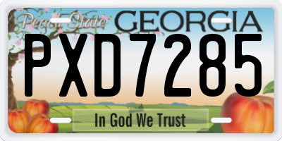 GA license plate PXD7285