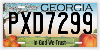 GA license plate PXD7299