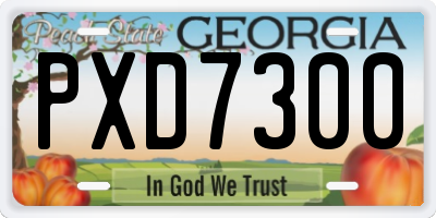 GA license plate PXD7300