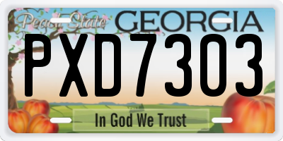 GA license plate PXD7303
