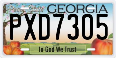 GA license plate PXD7305