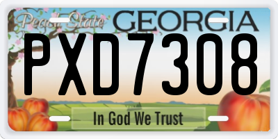 GA license plate PXD7308