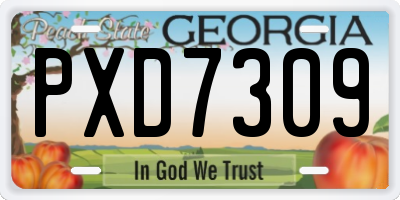 GA license plate PXD7309