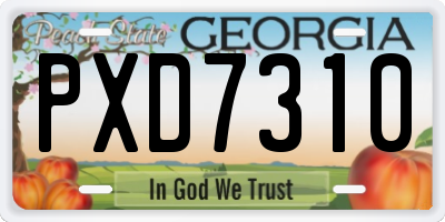 GA license plate PXD7310