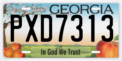 GA license plate PXD7313