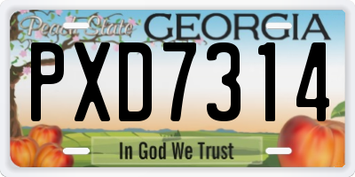 GA license plate PXD7314