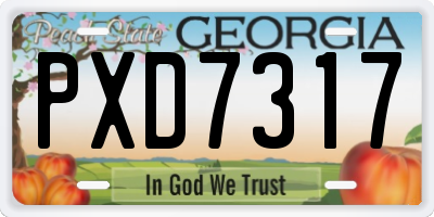 GA license plate PXD7317