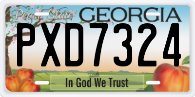GA license plate PXD7324