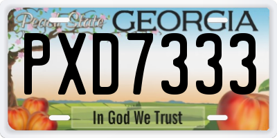 GA license plate PXD7333