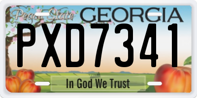 GA license plate PXD7341