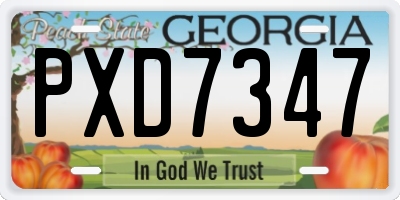 GA license plate PXD7347