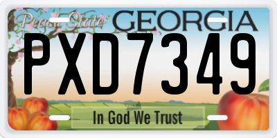 GA license plate PXD7349
