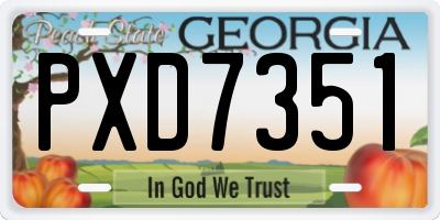 GA license plate PXD7351