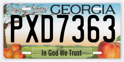 GA license plate PXD7363
