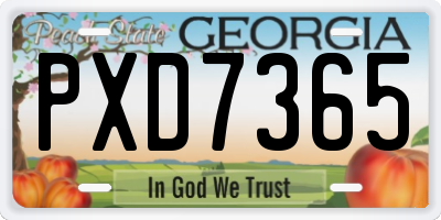 GA license plate PXD7365
