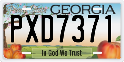 GA license plate PXD7371