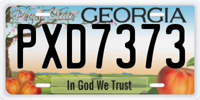 GA license plate PXD7373