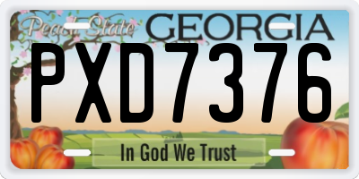 GA license plate PXD7376