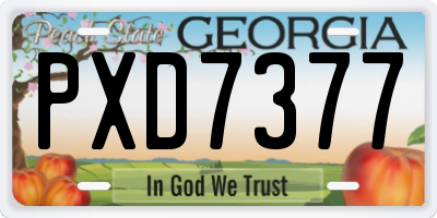 GA license plate PXD7377