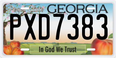 GA license plate PXD7383