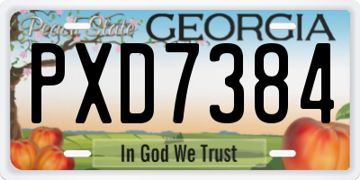 GA license plate PXD7384