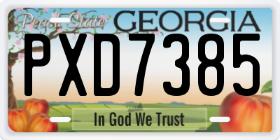 GA license plate PXD7385